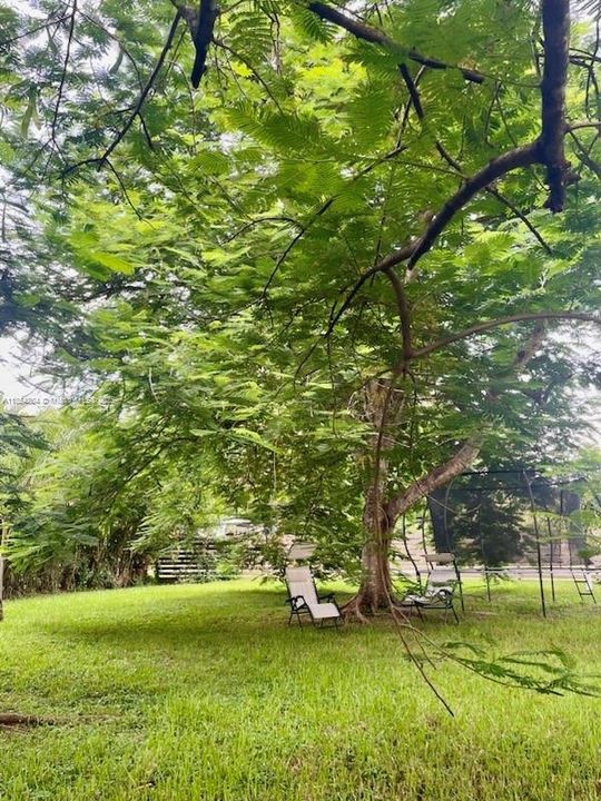 Недавно арендовано: $6,200 (3 спален, 3 ванн, 2330 Квадратных фут)