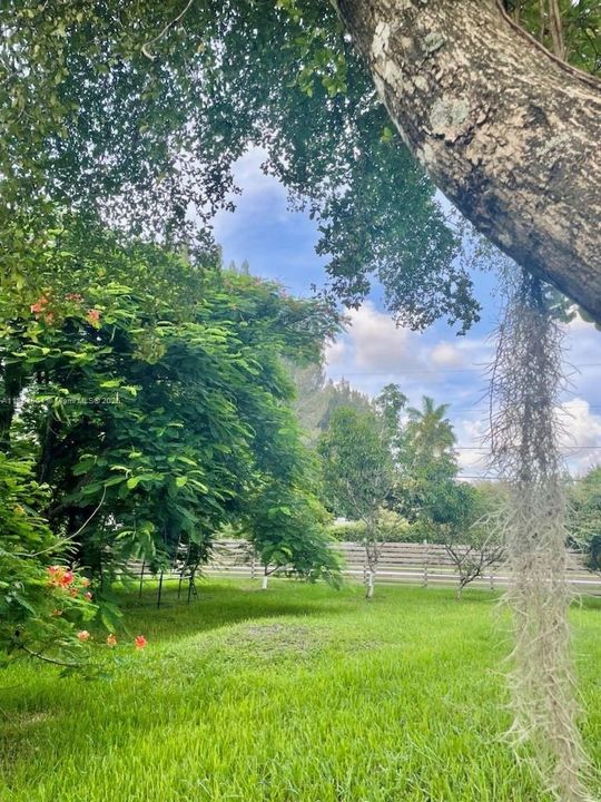 Недавно арендовано: $6,200 (3 спален, 3 ванн, 2330 Квадратных фут)