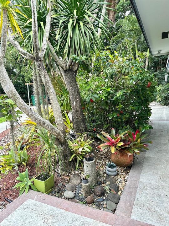 Недавно арендовано: $6,200 (3 спален, 3 ванн, 2330 Квадратных фут)