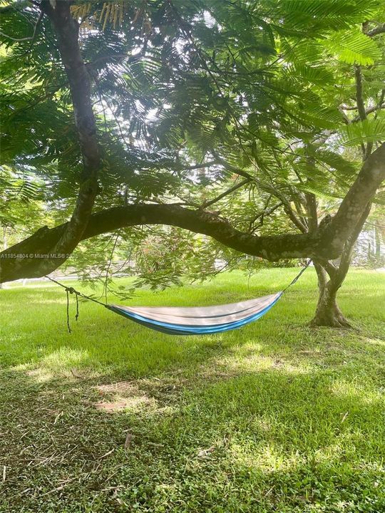 Недавно арендовано: $6,200 (3 спален, 3 ванн, 2330 Квадратных фут)