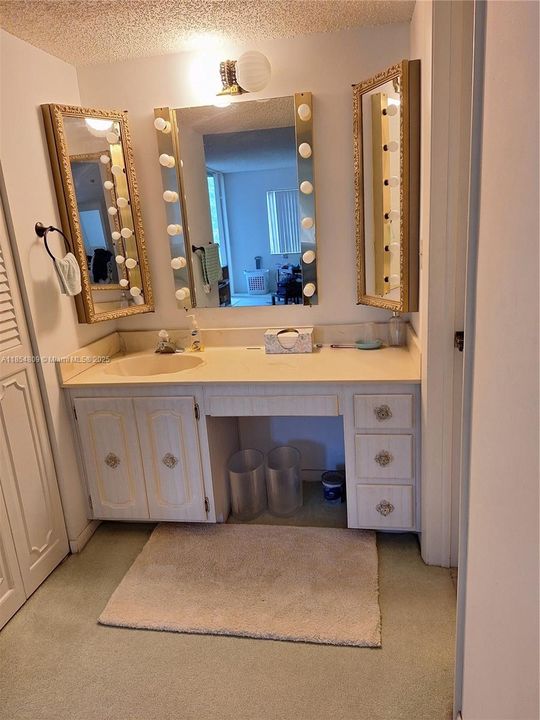 Vanity Area