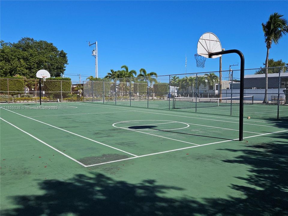 Basketball court