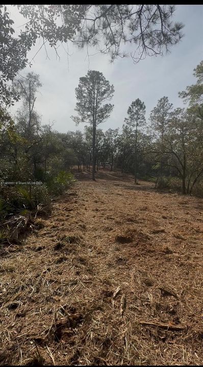 待售: $28,000 (0.50 acres)