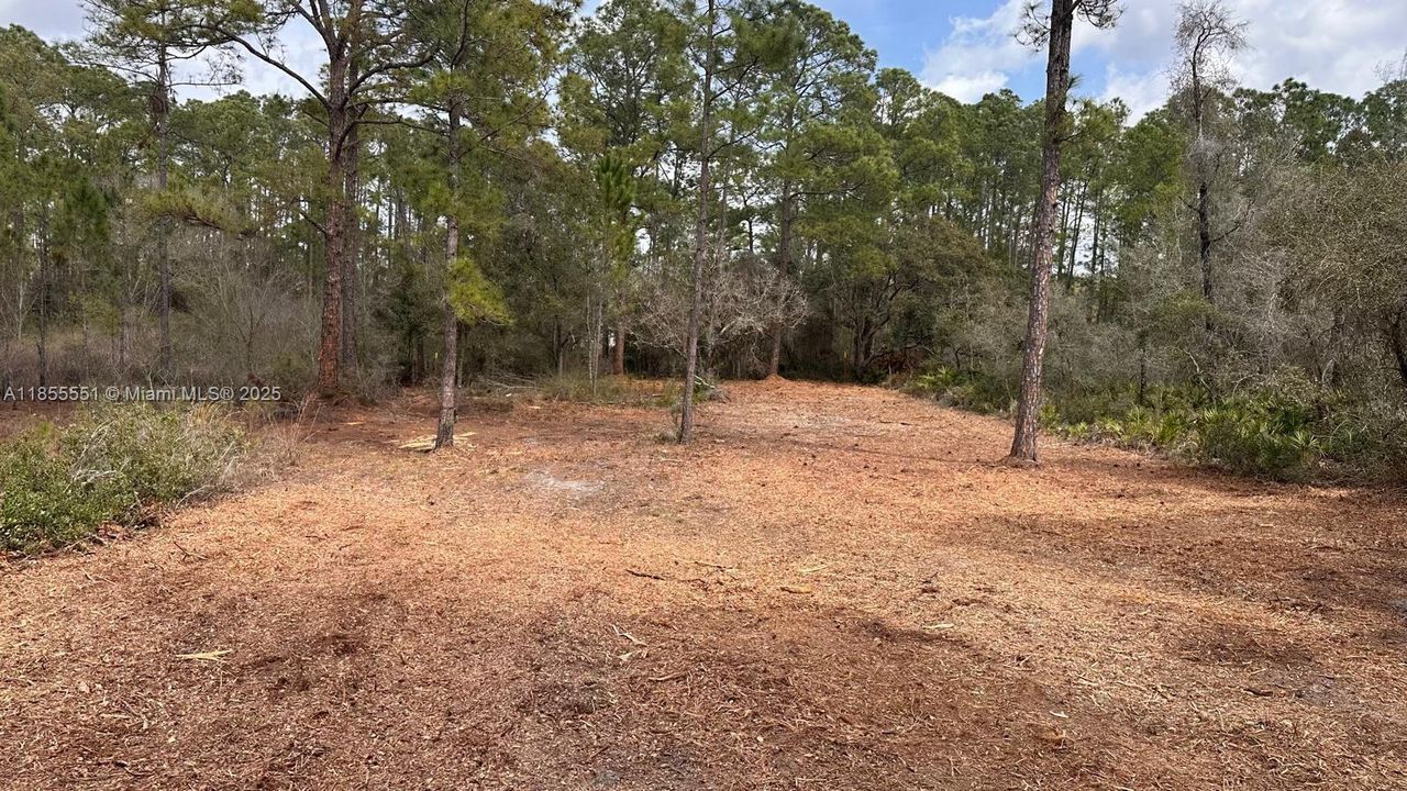 待售: $28,000 (0.50 acres)