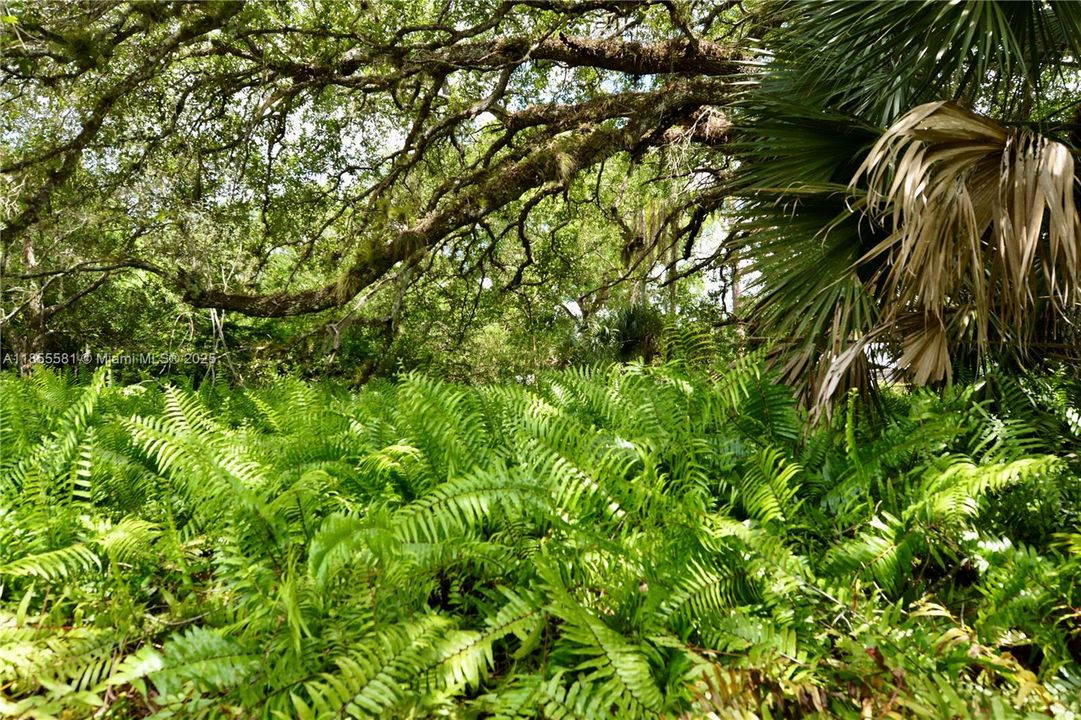 待售: $1,353,750 (5 贝兹, 3 浴室, 2422 平方英尺)