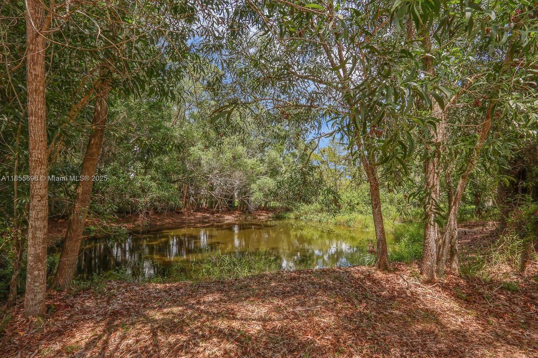 Под контрактом: $450,000 (3 спален, 2 ванн, 1152 Квадратных фут)