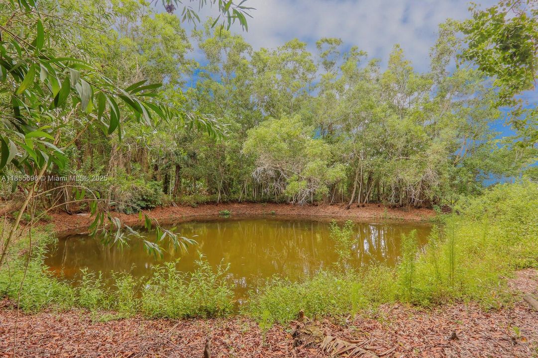 Под контрактом: $450,000 (3 спален, 2 ванн, 1152 Квадратных фут)