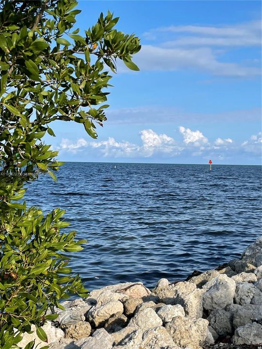 Recently Rented: $1,900 (2 beds, 1 baths, 1036 Square Feet)