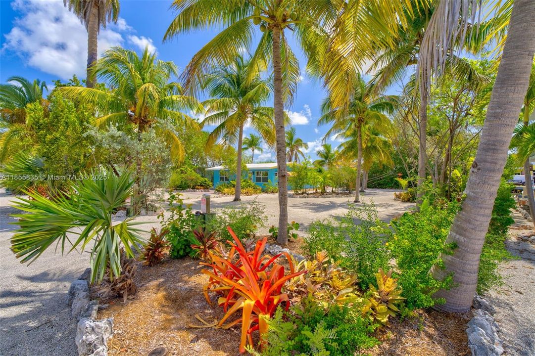 Nice landscaping, but not too much