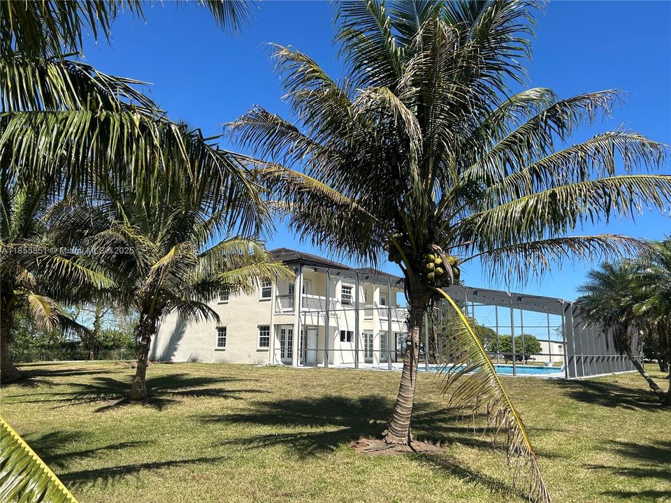 Beautiful and mature fruit trees bless the property. High producing mangos avocado, coconut and banana trees bless the new owner with potential income producing street front fruit stand, and plenty of fruit to enjoy with the family.