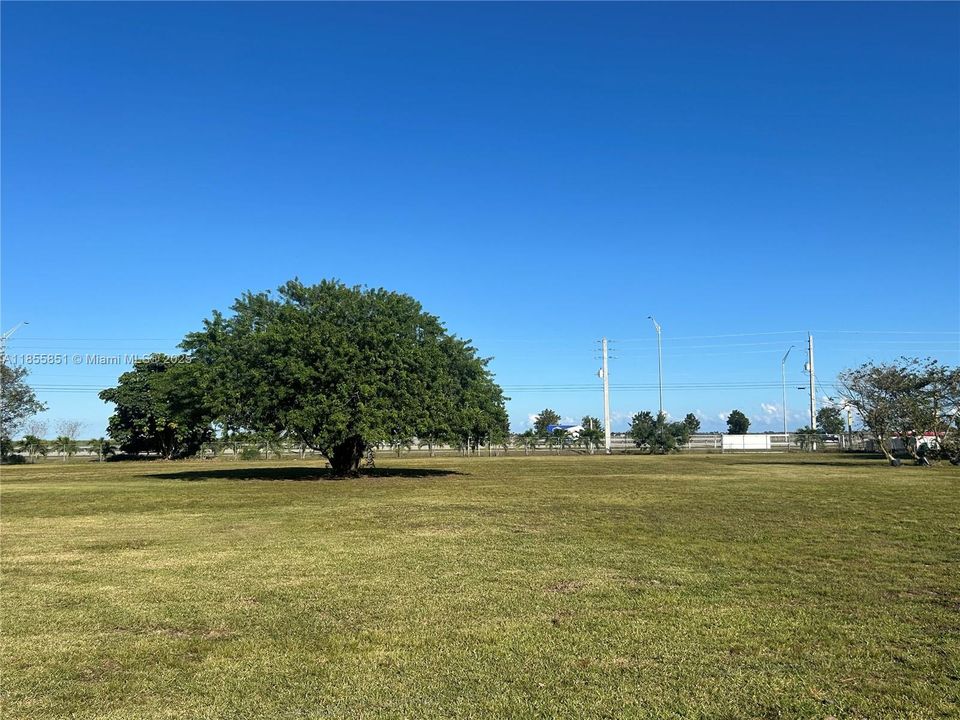 The possibilitie sare endless on this spacious and clean open area. Food trucks, festivals and more can be accommodated for many events!
