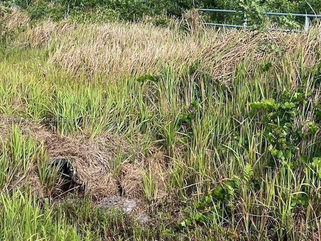 En Venta: $102,500 (0 camas, 0 baños, 0 Pies cuadrados)