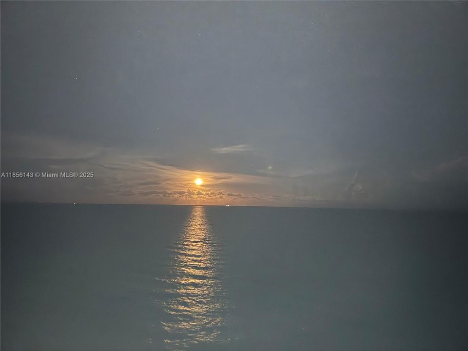 Recently Rented: $4,900 (2 beds, 2 baths, 1208 Square Feet)