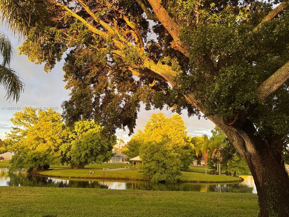 View of the private island community outdoor recreation area