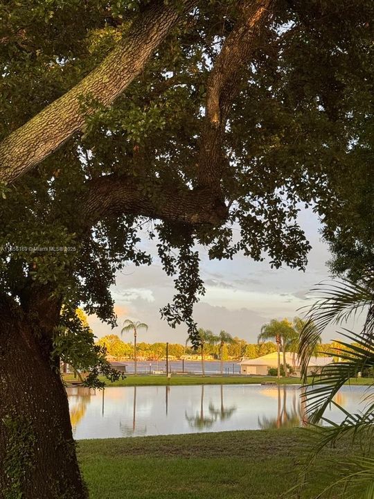 Gorgeous morning view from outdoor deck overlooking both lakes.