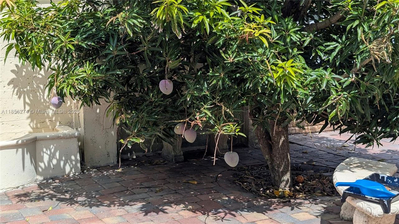 Recently Rented: $2,100 (4 beds, 2 baths, 0 Square Feet)