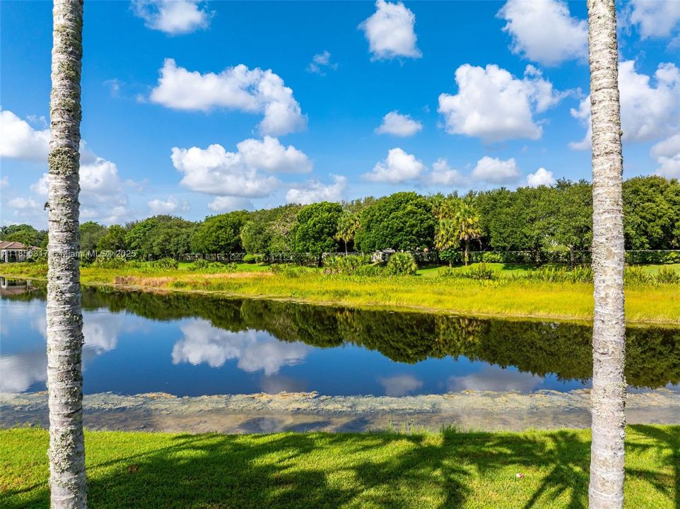 合同活跃: $1,799,000 (5 贝兹, 4 浴室, 4185 平方英尺)