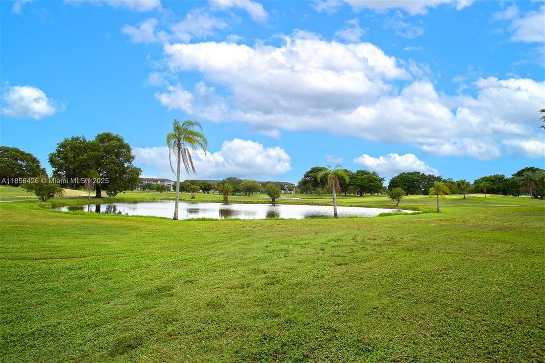 Peaceful Lake/Pond Near Your Quiet Home