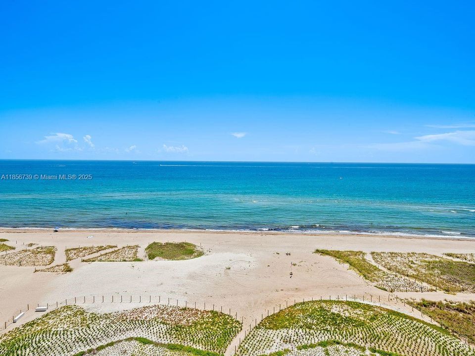 待售: $2,999,000 (3 贝兹, 3 浴室, 2500 平方英尺)