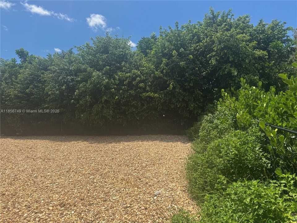 Lush Landscaped fenced backyard