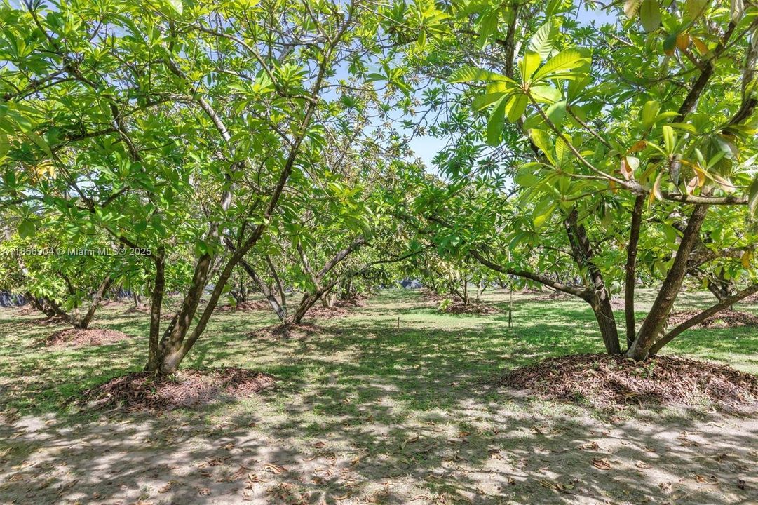 待售: $1,499,000 (0 贝兹, 0 浴室, 0 平方英尺)