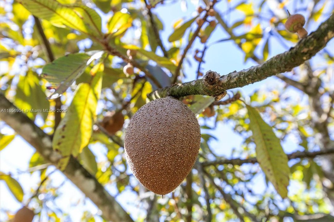 待售: $1,499,000 (0 贝兹, 0 浴室, 0 平方英尺)