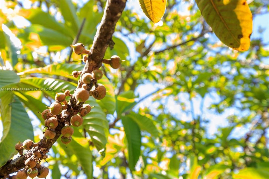 待售: $1,499,000 (0 贝兹, 0 浴室, 0 平方英尺)