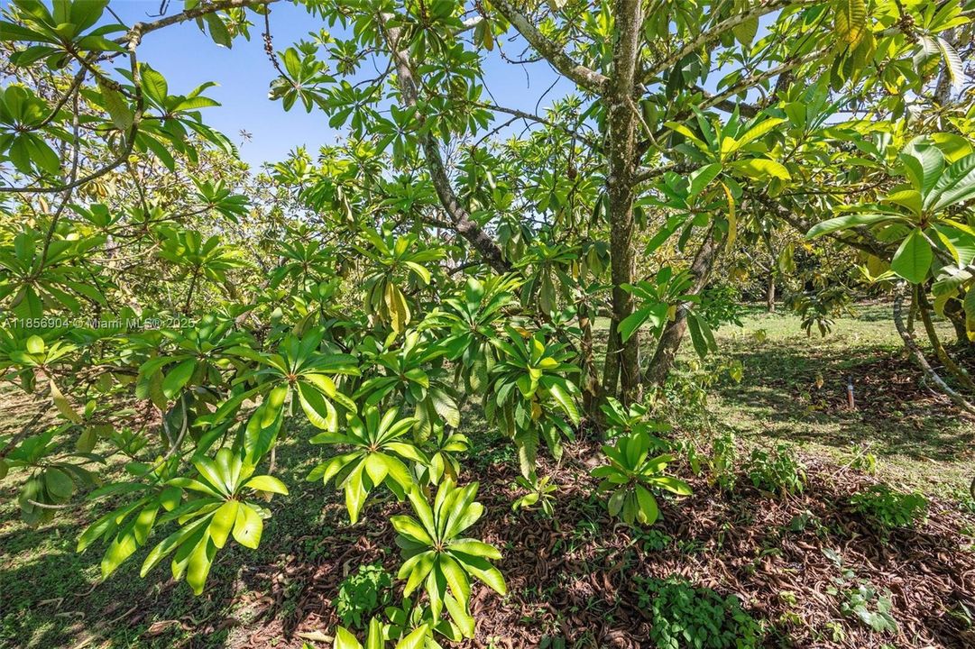 待售: $1,499,000 (0 贝兹, 0 浴室, 0 平方英尺)