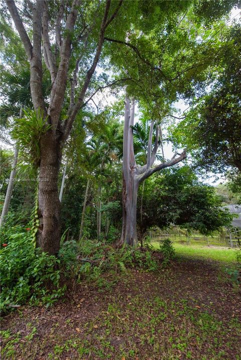 Active With Contract: $899,900 (4 beds, 2 baths, 3449 Square Feet)