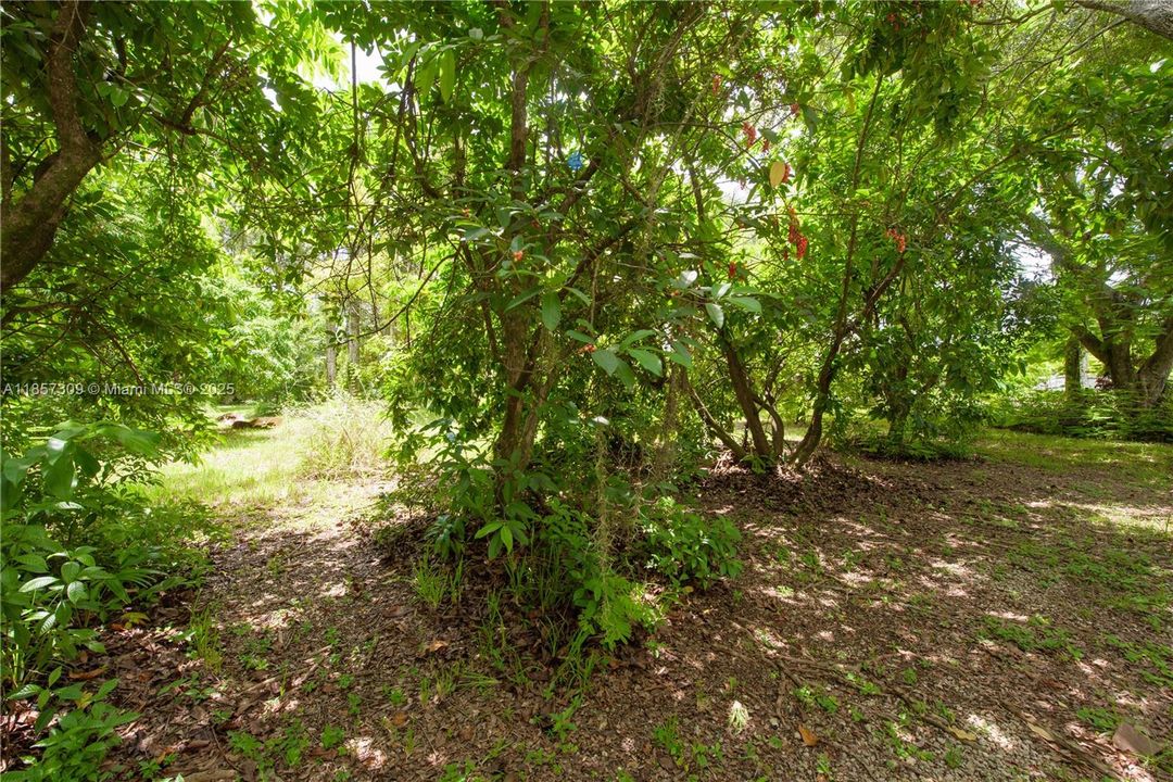 Active With Contract: $899,900 (4 beds, 2 baths, 3449 Square Feet)