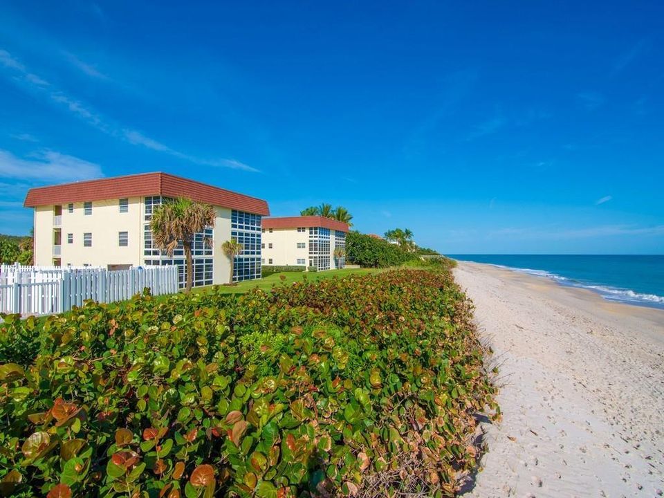 Walk the beach or soak up the sun!