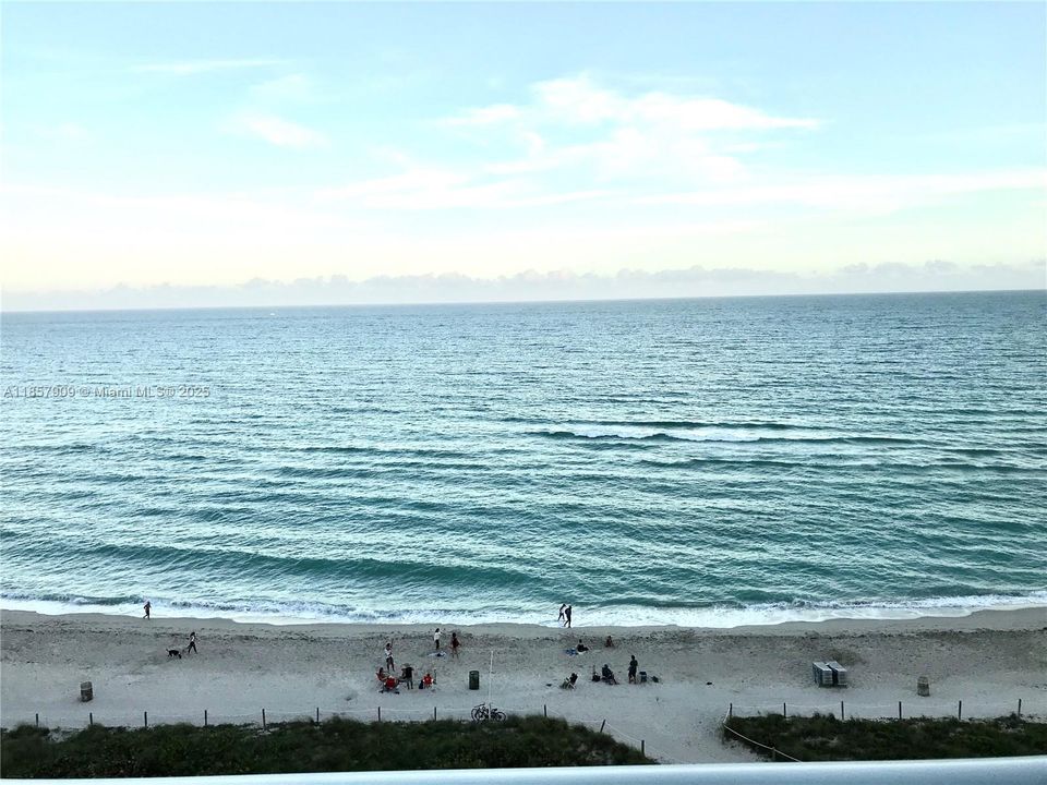 合同活跃: $6,000 (2 贝兹, 2 浴室, 1185 平方英尺)