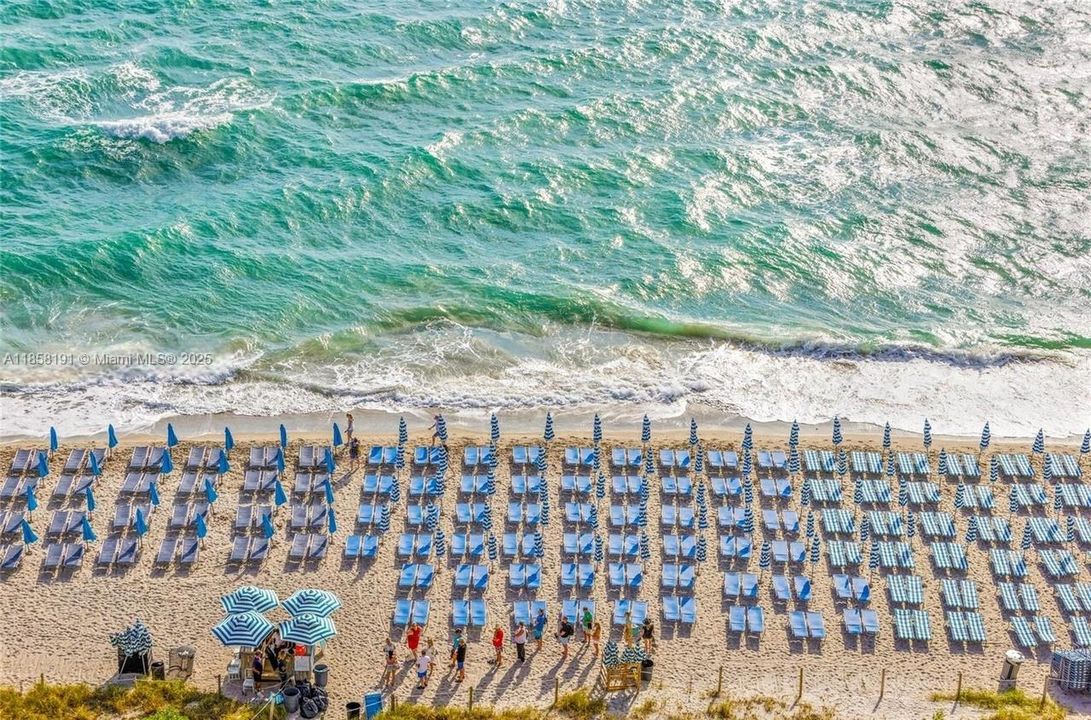 待售: $599,000 (1 贝兹, 1 浴室, 852 平方英尺)