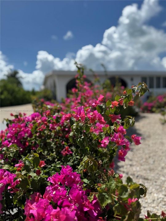 For Rent: $6,000 (3 beds, 2 baths, 2074 Square Feet)