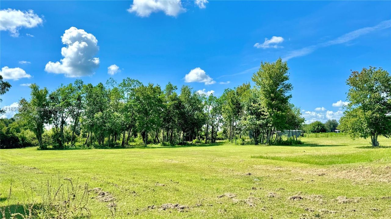 待售: $460,000 (2 贝兹, 1 浴室, 0 平方英尺)