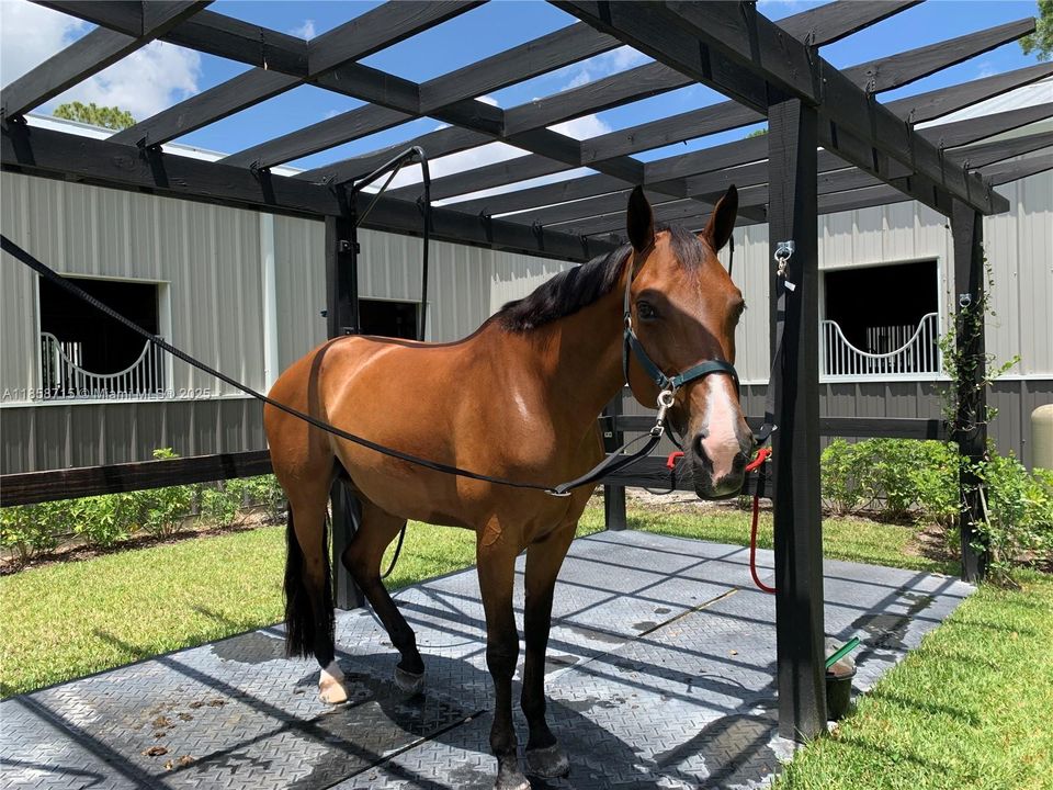 For Rent: $1,500 (3 beds, 3 baths, 1747 Square Feet)