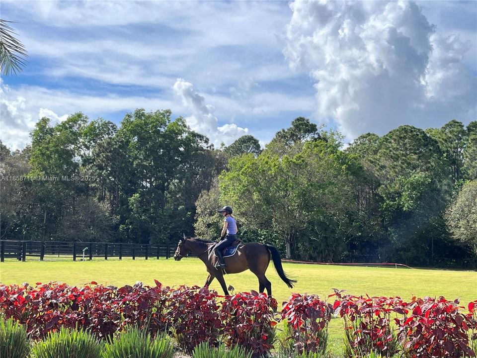 For Rent: $1,500 (3 beds, 3 baths, 1747 Square Feet)