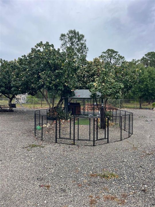 Vendido Recientemente: $480,000 (3 camas, 3 baños, 0 Pies cuadrados)