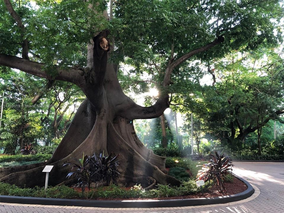 For Sale: $460,000 (2 beds, 2 baths, 1022 Square Feet)