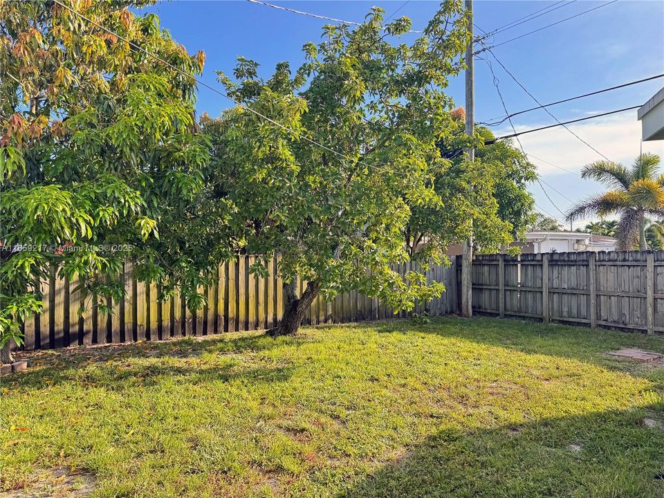 最近租的: $4,000 (3 贝兹, 2 浴室, 1306 平方英尺)