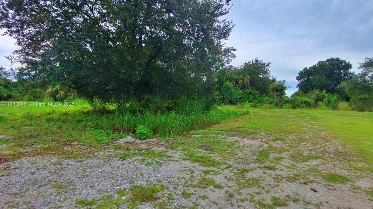 For Sale: $49,900 (1.25 acres)