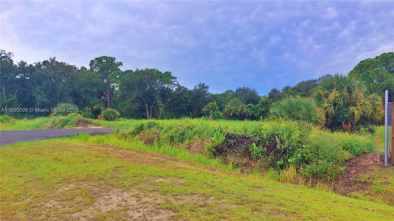 For Sale: $49,900 (1.25 acres)