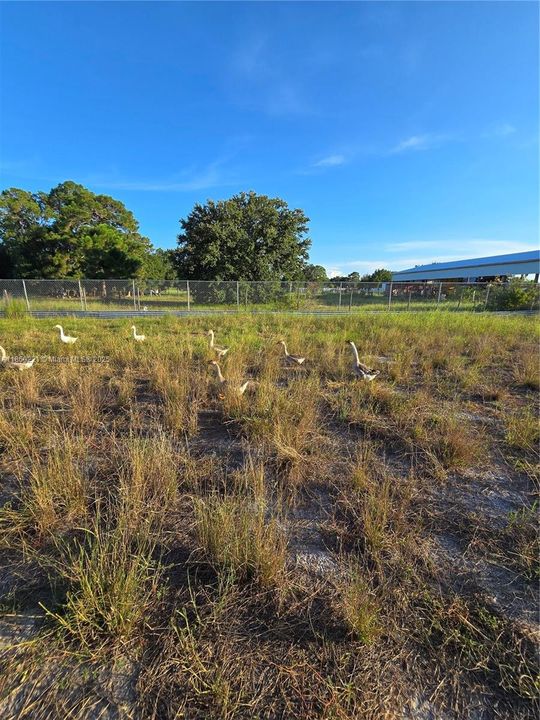 For Sale: $260,000 (3 beds, 2 baths, 1056 Square Feet)