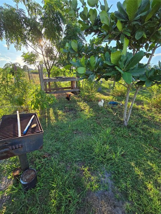 For Sale: $260,000 (3 beds, 2 baths, 1056 Square Feet)