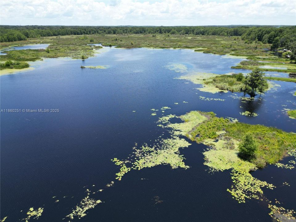 For Sale: $465,000 (5 beds, 2 baths, 2000 Square Feet)