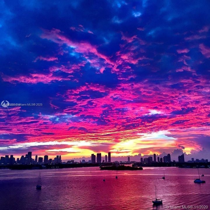 待售: $550,000 (1 贝兹, 1 浴室, 809 平方英尺)