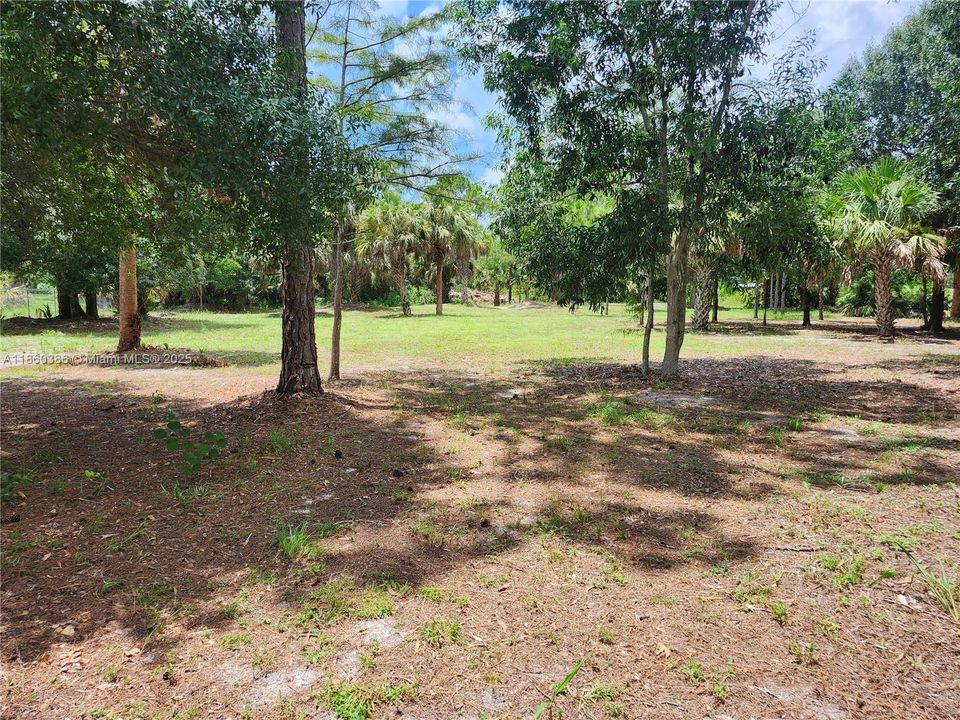View behind the fenced in area of the remaining acreage.