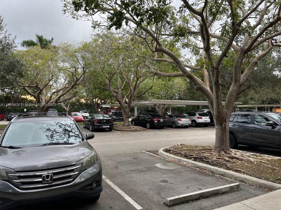 Active With Contract: $200,000 (1 beds, 1 baths, 734 Square Feet)