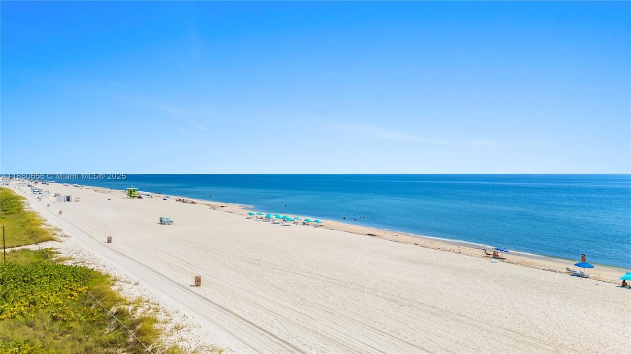 合同活跃: $600,000 (1 贝兹, 1 浴室, 930 平方英尺)