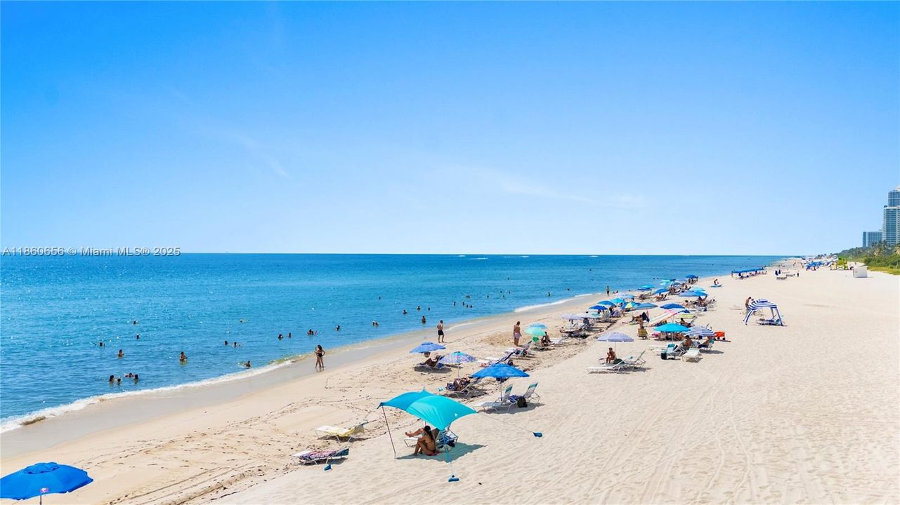 合同活跃: $600,000 (1 贝兹, 1 浴室, 930 平方英尺)